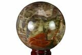 Colorful Petrified Wood Sphere - Madagascar #163357-1